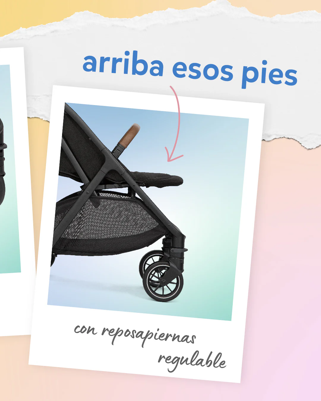 Miniatura 24