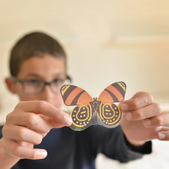 Miniatura 3
